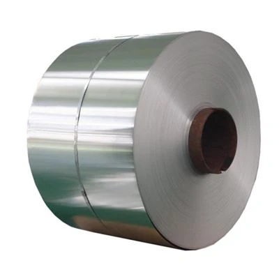 Profesionální Globe Spcd Cold Steel